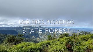 ⛰ Los Tres Picachos State Forest Puerto Rico HD 🇵🇷 [upl. by Ariamo]