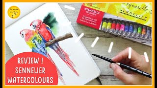 REVIEW SENNELIER WATERCOLOUR paints and Parrot painting demonstration  SKETCHBOOK ART 2020 [upl. by Maureen198]