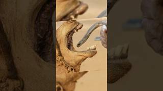 Camel Eats Snake But Why [upl. by Rozalin]