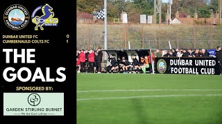 THE GOALS  vs Cumbernauld Colts FC  South Challenge Cup Round 4  190124 [upl. by Silas]