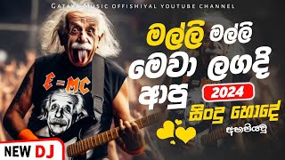 2024 TRENDING උන අලුත්ම සිංදු ටික  DJ NONSTOP  සිංහල සිංදු  gatayamusic [upl. by Llemmart]