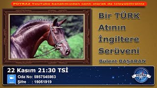 Bir TÜRK ATININ İngiltere serüveni  Bülent BAŞARAN [upl. by Devona]