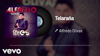 Alfredo Olivas  Telaraña Audio [upl. by Rebmik834]