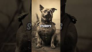 Sergeant Stubby WWI [upl. by Rankin]