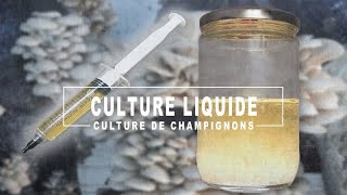 Comment faire une culture liquide de mycélium de champignon et augmenter Culture de champignons [upl. by Griseldis]