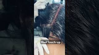 Root touch up kaise karte hai hiphop music trending love rapperlife treandingshort hiphop [upl. by Llenwad377]