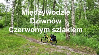 Międzywodzie  Dziwnów Czerwonym szlakiem przy wydmach Zachodniopomorskie Polska [upl. by Llehsyar]