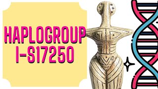 YDNA Haplogroup  IS17250  Slavic DNA  Cucuteni–Trypillia culture [upl. by Roumell]