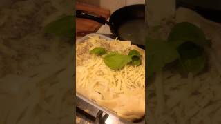 THE BEST HOME MADE LASAGNE EVER 🤤 automobile music hiphop rap explore food cat choppin [upl. by Estrin926]