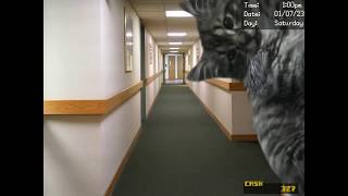 Salvage DirectDoggos cat in the Hallway Dayshift at Freddys 3 [upl. by Mohamed]