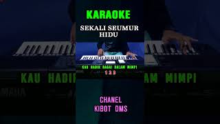 SEKALI SEUMUR HIDUP  LESTI  kibotdms dangdut lestisekaliseumurhidupkaraoke karaoke [upl. by Yelrehs764]