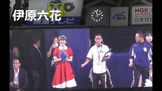 グーネット （伊原六花ちゃん） 始球式 2019年5月19日日 中日  巨人 8回戦 [upl. by Massimiliano]