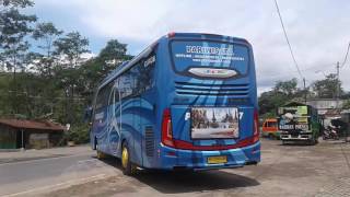 Bus pandawa 87 and soeman 87 teloletnya unik lho [upl. by Bradeord412]