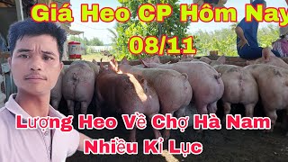 Thời Tiết Giao Mùa Heo Ho Nhiều Xử Lý Như Thế Nàonongtraihoakieu [upl. by Efren]