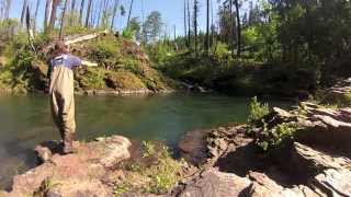 Fall Creek Fly Fishing [upl. by Moises]