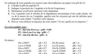 biochimie exercice avec correction de la partie proteines calcul de phi et electrophorese part 1 [upl. by Ahtiekahs347]