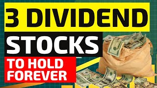 3 BEST DIVIDEND Stocks To Buy And Hold Forever Dividend portfolio [upl. by Swec899]