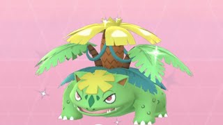 Shiny Venusaur Mega Evolution [upl. by Herates570]