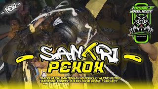 DJ BANTENGAN   santri pekok  manggolo wijoyo putro sukopuro luring music from INISIALFPROJECT [upl. by Spalding]