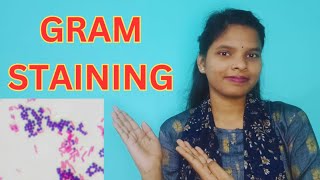 GRAM STAINING FULL DETAILS IN BENGALI  GRAM STAIN PROCEDURE gramstaining [upl. by Nils]