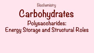 GOB 75 Polysaccharide Structure and Function [upl. by Earla]