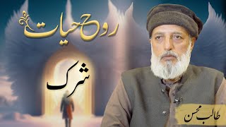 Shirk  شرک  Talib Mohsin [upl. by Ardnikat971]