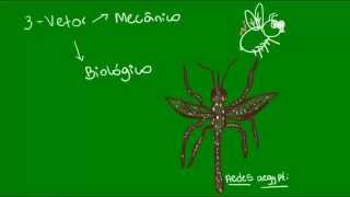 Conceitos importantes em Parasitologia  Parasitologia  Biologia [upl. by Greyso]