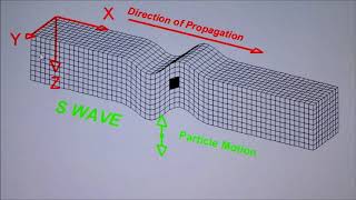 Tipos de Ondas Sísmicas [upl. by Llekcir]