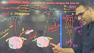 CNS Introduction 3 قصر العيني by Dr Elsherif [upl. by Yim]