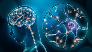 Inhibitory Role of GABA Neurotransmitter in Neuronal Communication 3 Minutes Microlearning [upl. by Atteniuq]