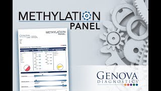 Introduction to Genova Diagnostics Methylation Panel [upl. by Henrik]