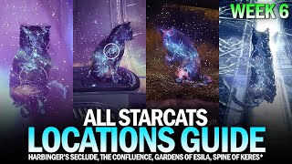 All Starcat Locations Guide  Week 6 Harbingers Seclude Confluence Gardens of Esila Destiny 2 [upl. by Olsen]