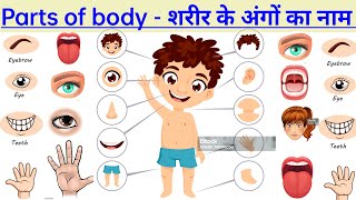 Parts of Body  Body Parts Name  Name of Body Parts in English with Pictures  bodyparts [upl. by Iorgos]