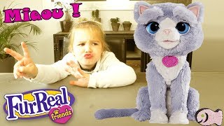 FurReal Friends Hasbro  B5936  Bootsie  Mon Chat Robot Unboxing [upl. by Nwahsar]