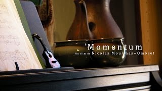 Momentum  De Nicolas MoulinasOmbret [upl. by Landon565]