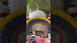 gururamdasji guruparav darbarsahib trendingreels shikhi [upl. by Gardell]