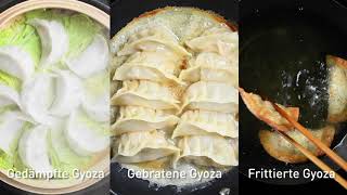 GyozaTeig – Gyoza Wrap selber machen [upl. by Fabrianna]