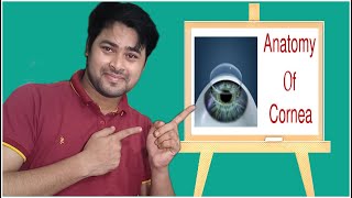 Anatomy of Cornea and physiologycornea definition in hindi microscopic stracture of cornea [upl. by Tica]