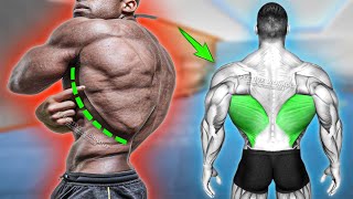 How to Get Wider Lower Lats 5 Best Exercises [upl. by Ander]