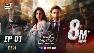 Aye Ishq e Junoon Episode 1  Ushna Shah  Sheheryar Munawar  11th Nov 2024 Eng Sub  ARY Digital [upl. by Lauer]