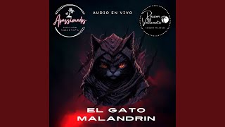 EL GATO MALANDRIN PASSION VALLENATA EN VIVO En vivo [upl. by Labanna10]