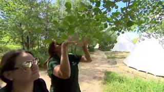 Medicine walk at Wanuskewin Heritage Park [upl. by Scurlock]