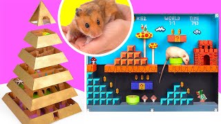 2 DIY Mazes For Hamsters And Rats [upl. by Yebot]