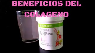 BENEFICIOS DEL COLAGENO HERBALIFE [upl. by Hyacinthie263]