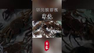 【二十四節氣】泰元說節氣：兩岸寒露。 Part3 shanghai taiwan taiwanculture [upl. by Asylla]