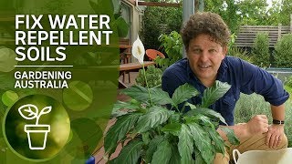 How to fix hydrophobic or water repellent soils with organic wetting agents [upl. by Roots]