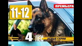 ПЁС 4 СЕЗОН 1112 СЕРИЯ сериал 2019 АНОНС И ДАТА ВЫХОДА [upl. by Cochrane]