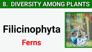 Filicinophyta  pteropsida  Diversity Among Plants class 11 [upl. by Eeclehc]