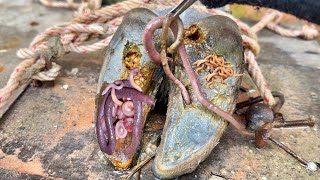 Hoof Cleaning Restoration  Farrier Satisfying complication  Cleaning Cows Nails [upl. by Gerbold]