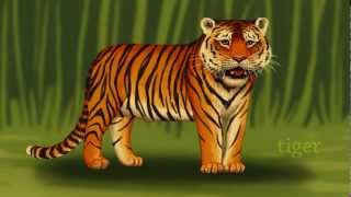 Jungle Animals  Kids animals  Zoo animals for preschool and kindergarten kids 🐍 [upl. by Ilegna953]